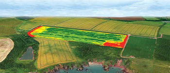 crop performance